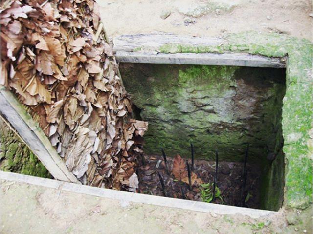 傻子陷阱一点也不"傻",告诉你前方有十个,你能躲过几个?