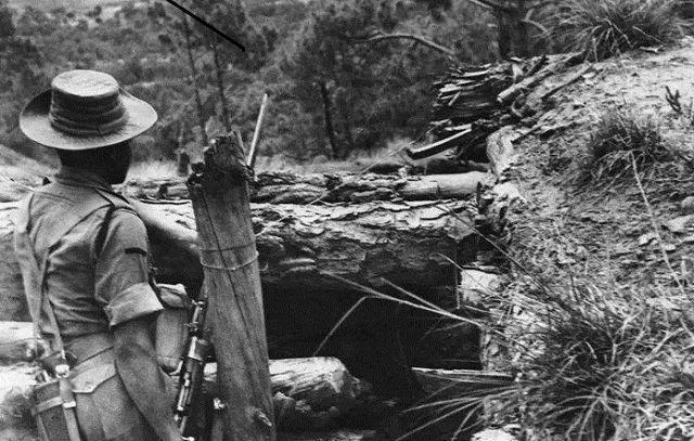 中印战争之瓦弄大捷:我军"牛刀宰鸡",打得印军落花流水!