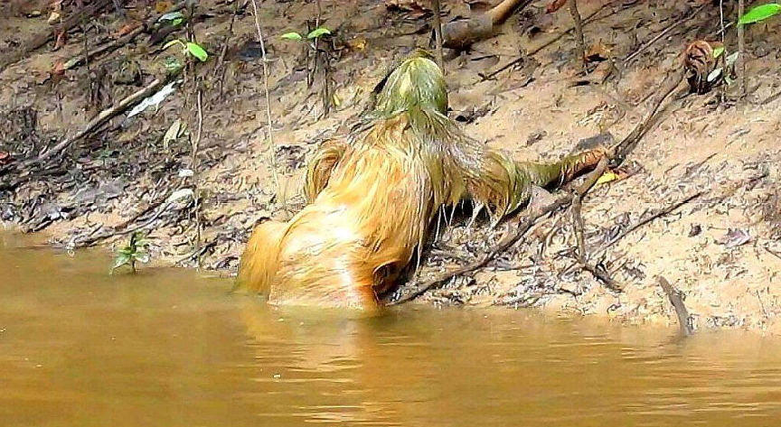 传说中的水鬼被人抓住看到水鬼真容后让人感觉不可思议