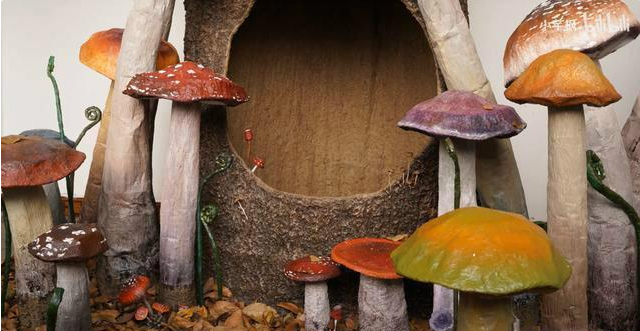 超硬核90后姑娘用200斤纸箱做树屋引百万人围观