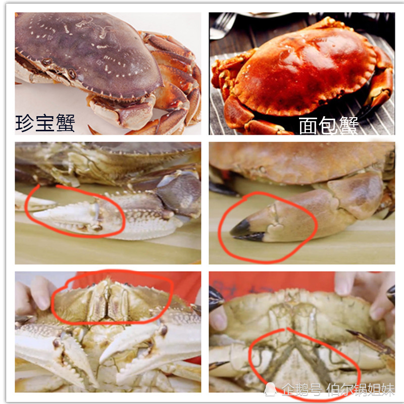 面包蟹一肚子不服:基本差不多,凭什么贵我四五倍