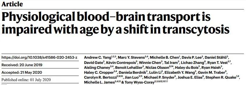 大脑|当大脑变老时，发生了什么？《自然》新发现刷新百年认知