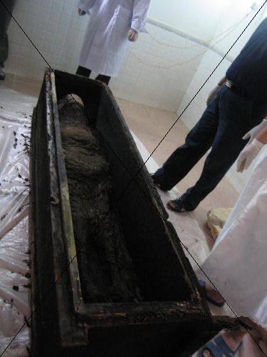 七星巨棺被打开后一只活物突然窜了出来吓得专家发出尖叫