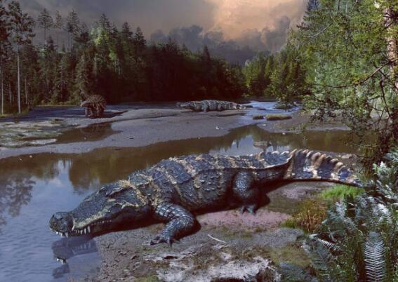 同样是史前巨兽,为什么鳄鱼可以完胜恐龙,一直存活到现在?