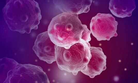 肿瘤细胞|用磁场杀死肿瘤细胞——万融实验