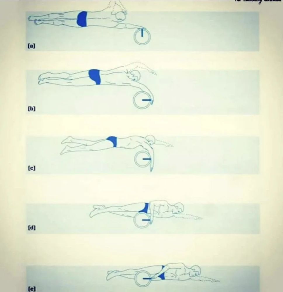 結語把自由泳劃手動作拆分成以上這些部分,通過練習觀察,我們可以很快