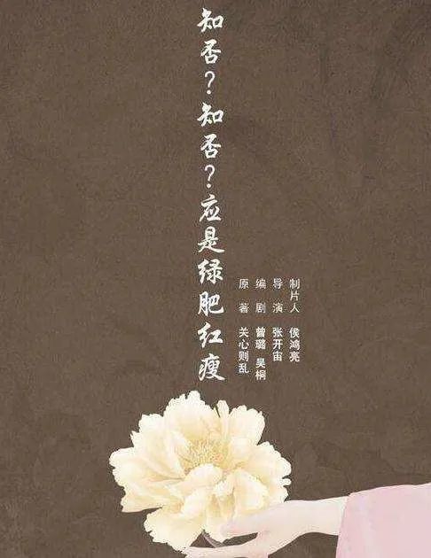 侯鸿亮|2017年，《知否》公开选角，侯鸿亮：赵丽颖就是盛明兰