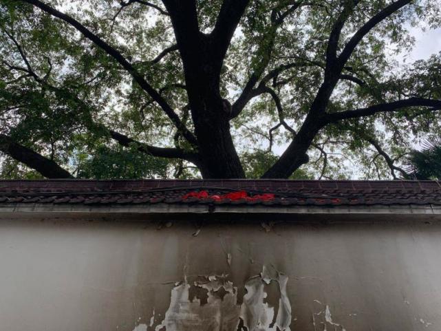 热搜下的毛坦厂中学以及真实的毛坦厂往事