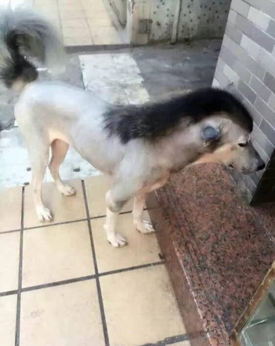 641
