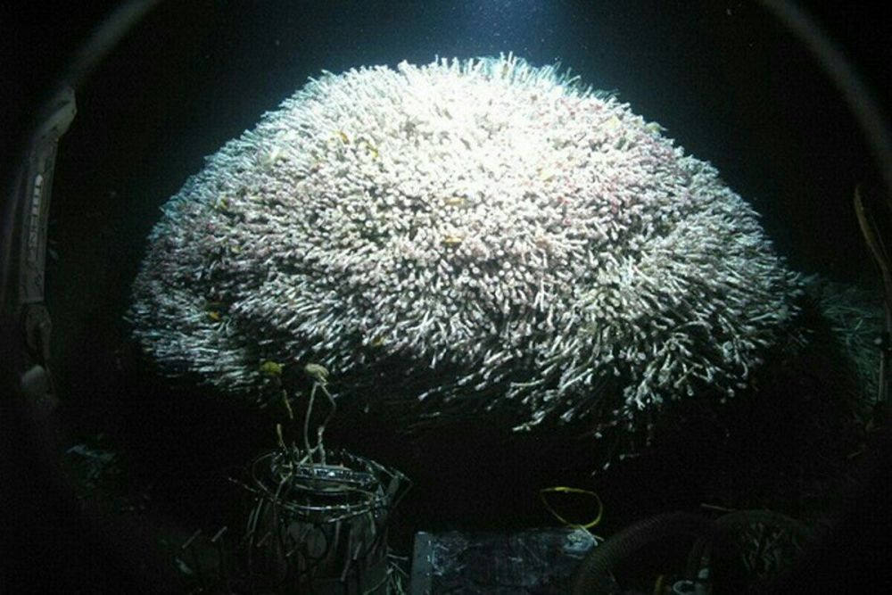 木卫二|NASA已亲口承认：木卫二可能存在生命，2024年将前去探索