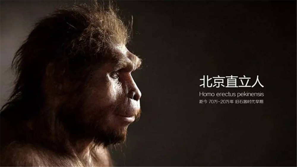 人类祖先|人类祖先并非同一人？专家进行实验，中国人的祖先或与他们无关！