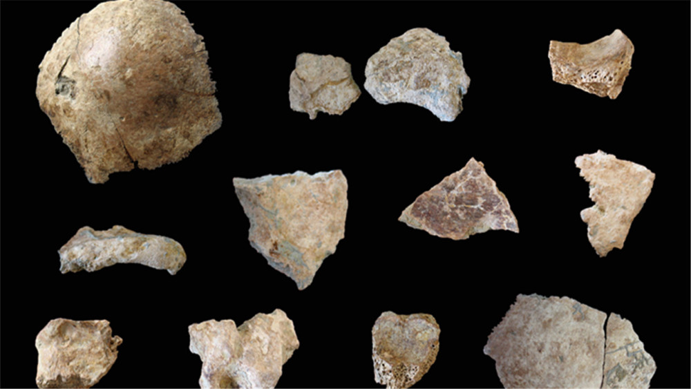 人类祖先|人类祖先并非同一人？专家进行实验，中国人的祖先或与他们无关！