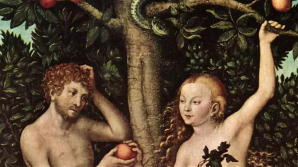 人类祖先|人类祖先并非同一人？专家进行实验，中国人的祖先或与他们无关！