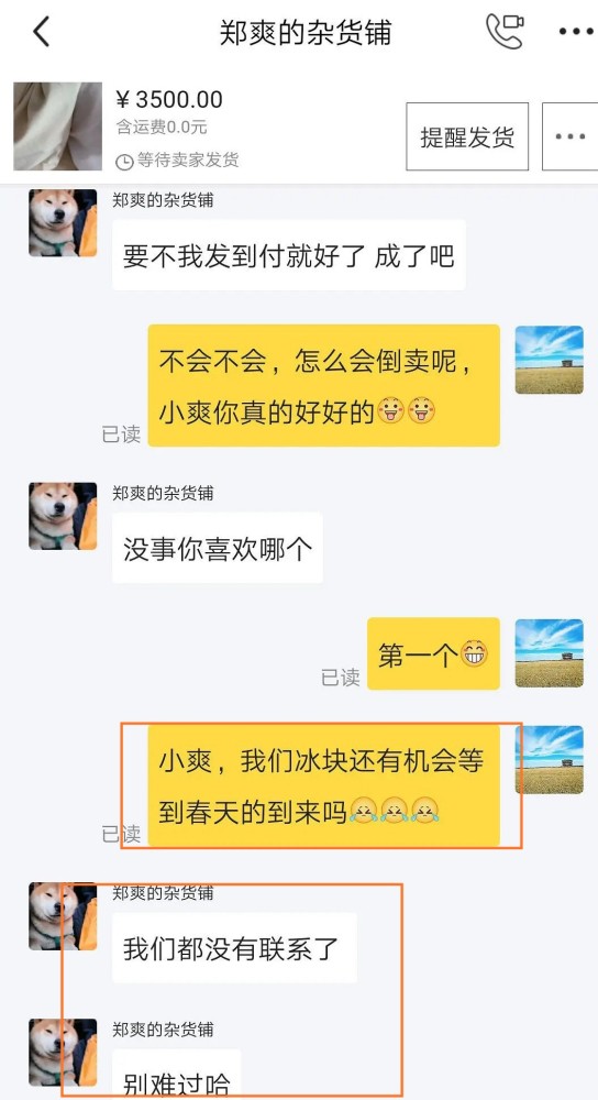 郑爽|继张翰方回应后，郑爽也松口了，他们终究是把体面留给了彼此