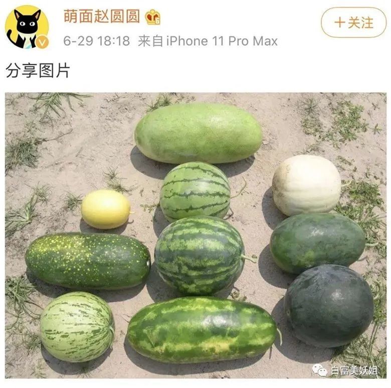 阿里巴巴|阿里又出劲爆新瓜！李佳琦背后的男人出事了…