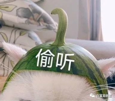 阿里巴巴|阿里又出劲爆新瓜！李佳琦背后的男人出事了…