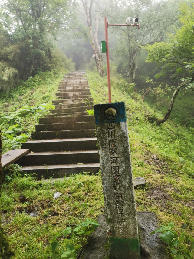 徒步广元唐家河阴平古道,登顶摩天岭,行走剑门蜀道感受三国文化