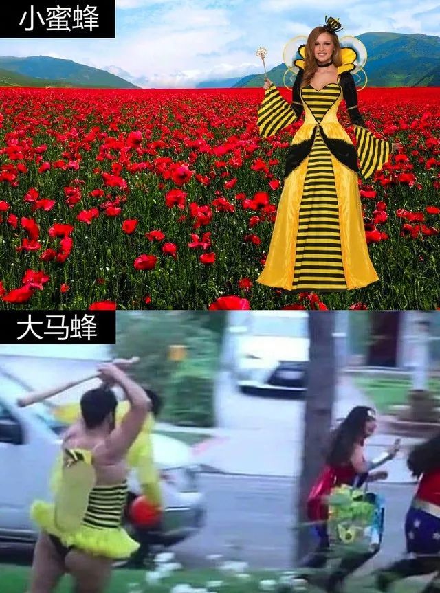 ЦͼƬϲѡ 