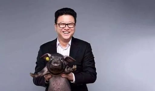 云养殖|云养殖：喂鸡、种花、养老虎，2020直播电商新风口