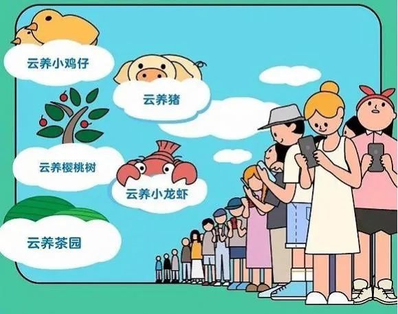 云养殖|云养殖：喂鸡、种花、养老虎，2020直播电商新风口