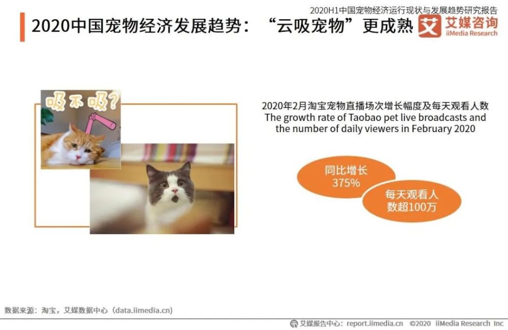 云养殖|云养殖：喂鸡、种花、养老虎，2020直播电商新风口