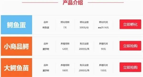 云养殖|云养殖：喂鸡、种花、养老虎，2020直播电商新风口