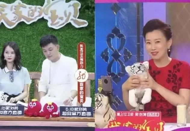 云养殖|云养殖：喂鸡、种花、养老虎，2020直播电商新风口