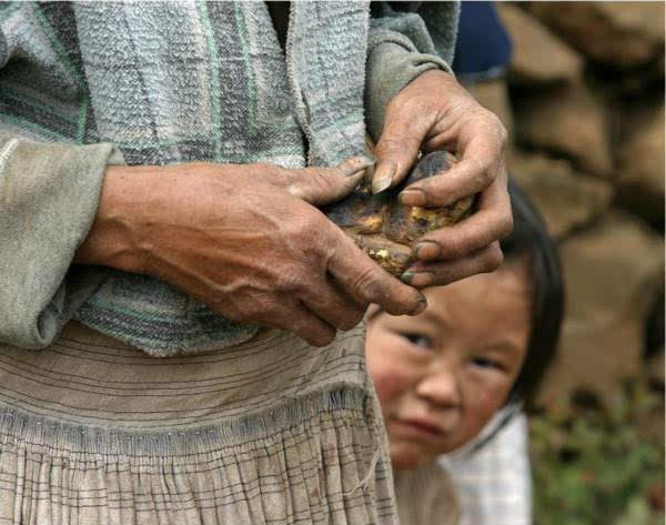 贫穷会把人逼成什么样子?没穷过的人不会明白,看完令人泪目