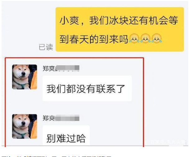 郑爽|张翰否认复合，被胡彦斌怒怼，与张恒对簿公堂，郑爽的爱情一地鸡毛