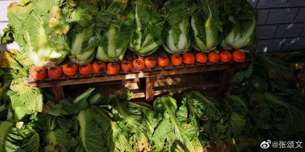 张颂文|他44岁，演技封神，却依然买不起房