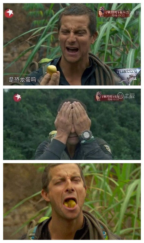 鸡蛋成全球蛋白质普遍来源,三伏解暑,贝爷受不了的皮蛋了解一下