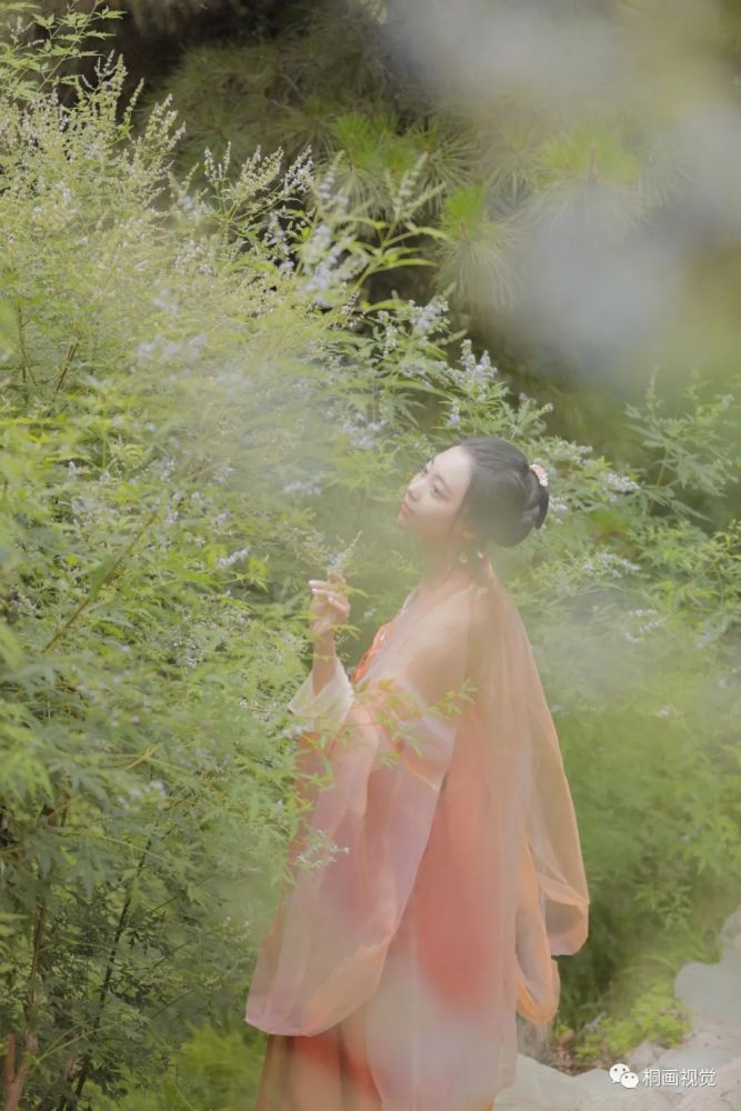 古风七月花中纪