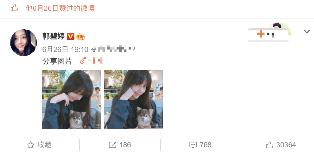 郭碧婷|向太发长文谈“真正的感情”，并晒多张郭碧婷向佐合影，操心过度