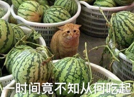 王思聪|酷似赵丽颖？李现追她，王思聪一心出资扶她上位，但她的黑历史……