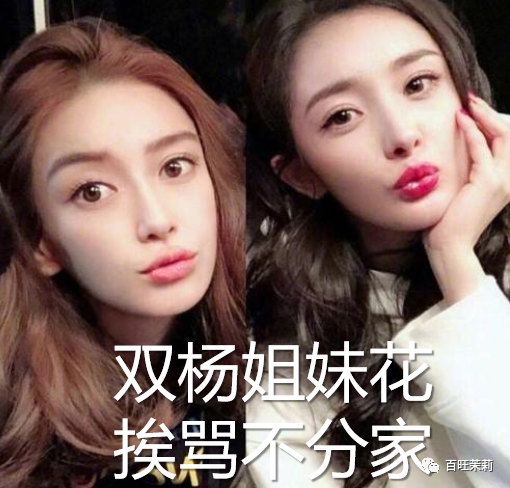 赵丽颖|都快十年了，还有人分不清她俩吗？