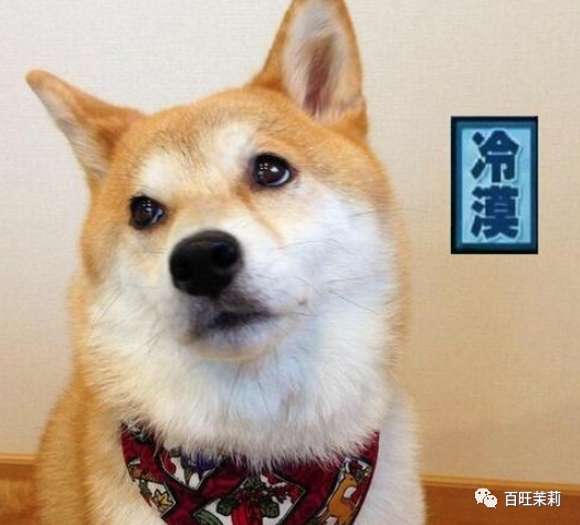 赵丽颖|都快十年了，还有人分不清她俩吗？