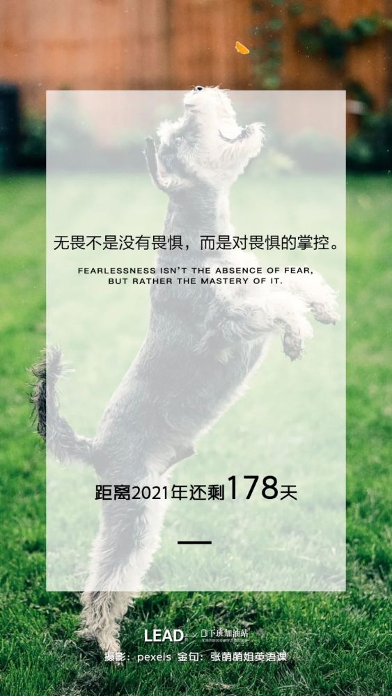 Body Shop创始人安妮塔罗迪克 英国最杰出的女实业家 腾讯新闻