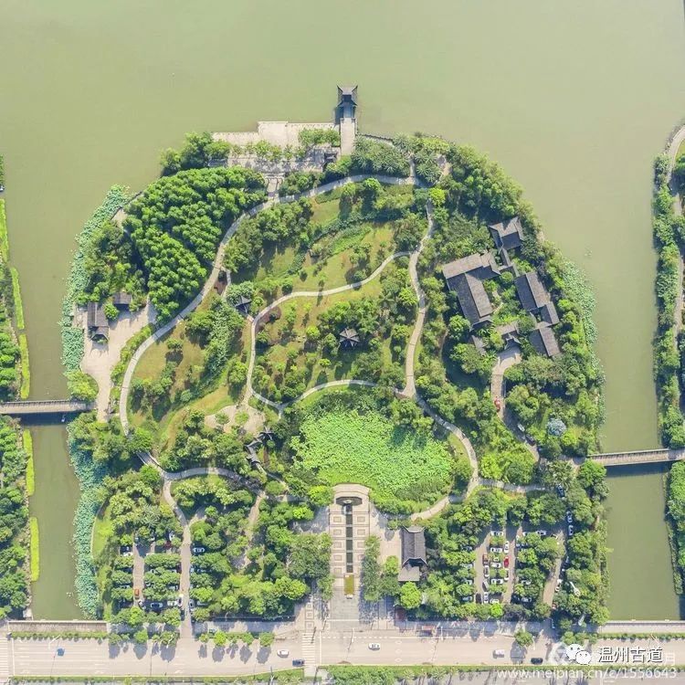 温州南湖荷花闹,已是美景映连天
