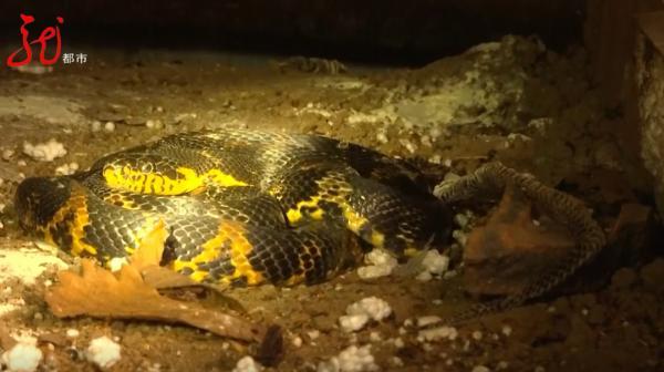 腾讯内容开放平台