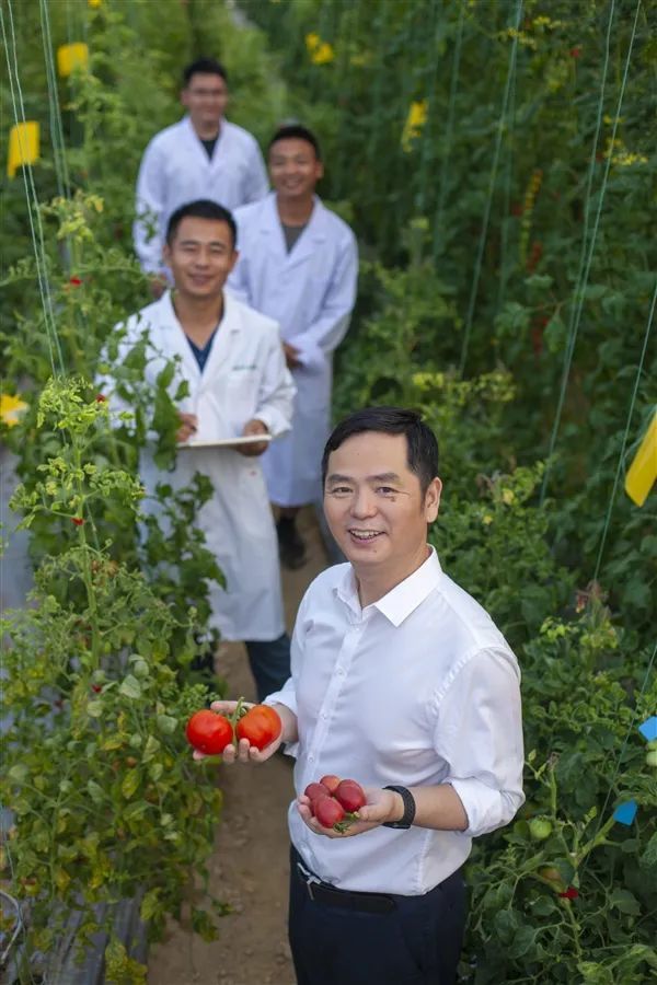 黄三文|黄三文：用大数据精准培育“你的菜”