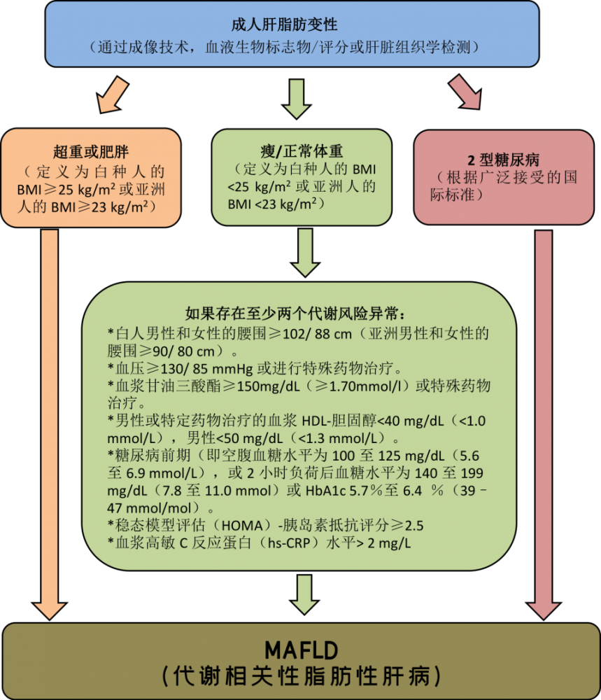 非酒精性脂肪肝 有了新名字 相应治疗也有了新对策 腾讯新闻