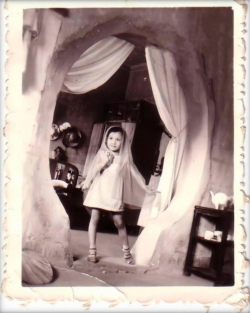 陈数|星里话丨“姐圈流量”陈数：这世上没有真正的怀才不遇