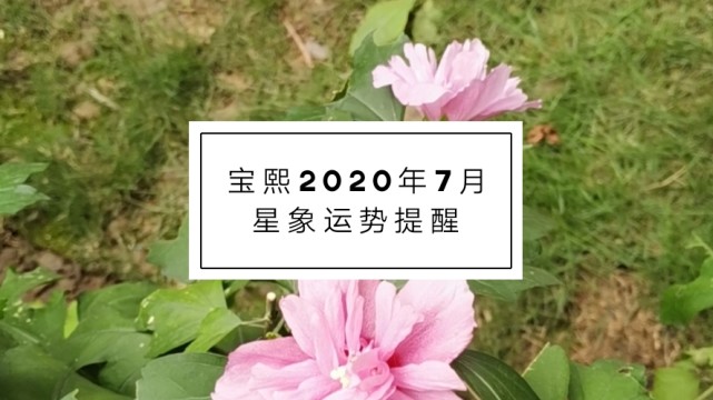 宝熙 年7月星象运势提醒 运势 星象 太阳 木土 巨蟹座