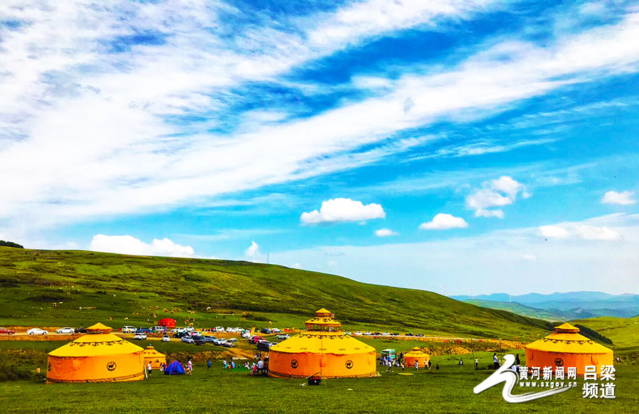 吕梁西华镇草原好风光