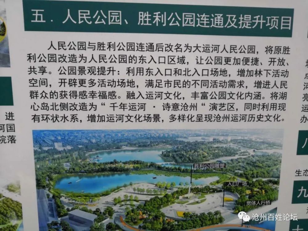 包含沧州网站建设哪家评价高的词条