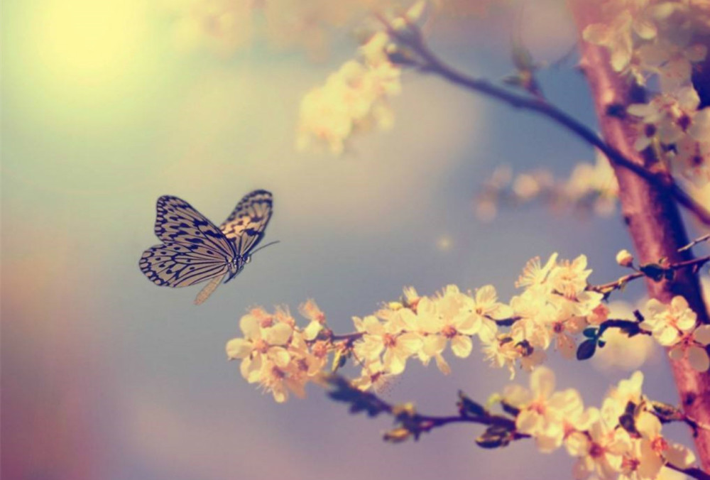 顾与治|老头在墙上随手写首诗，一直被路人笑话，大诗人读完却赶紧抄下来