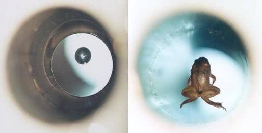 氢原子|为什么我们直到本世纪才能观察到反氢原子光谱？