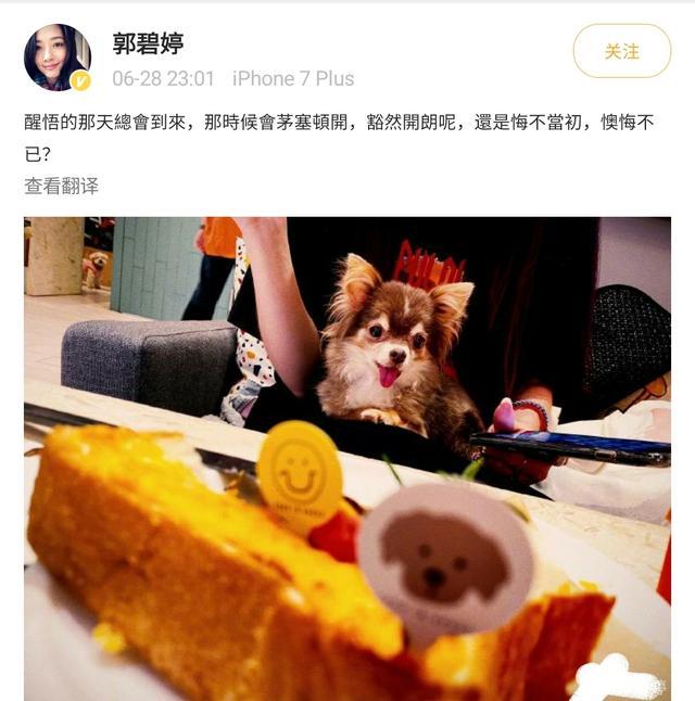 郭碧婷|向佐不会哄媳妇？郭碧婷被传产前抑郁，婆婆向太长文劝说向佐沉默