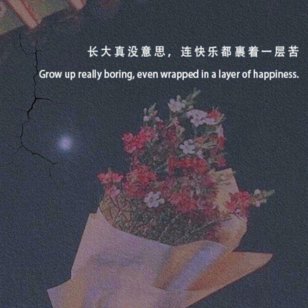 丧到极致的抑郁文案·你其实什么都明白,只是假装不说透_腾讯新闻