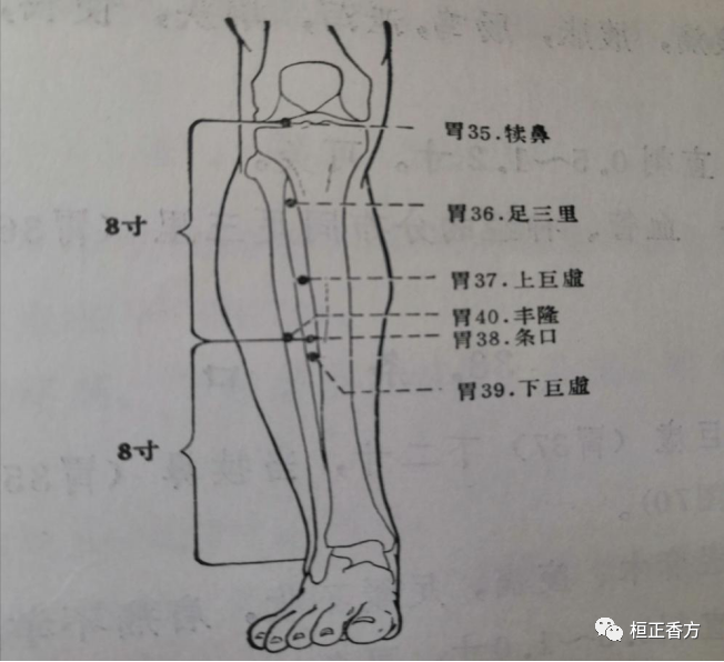 太冲【位置】正坐或卧位,自大趾次趾缝间向上至歧骨会合处陷中,有动脉